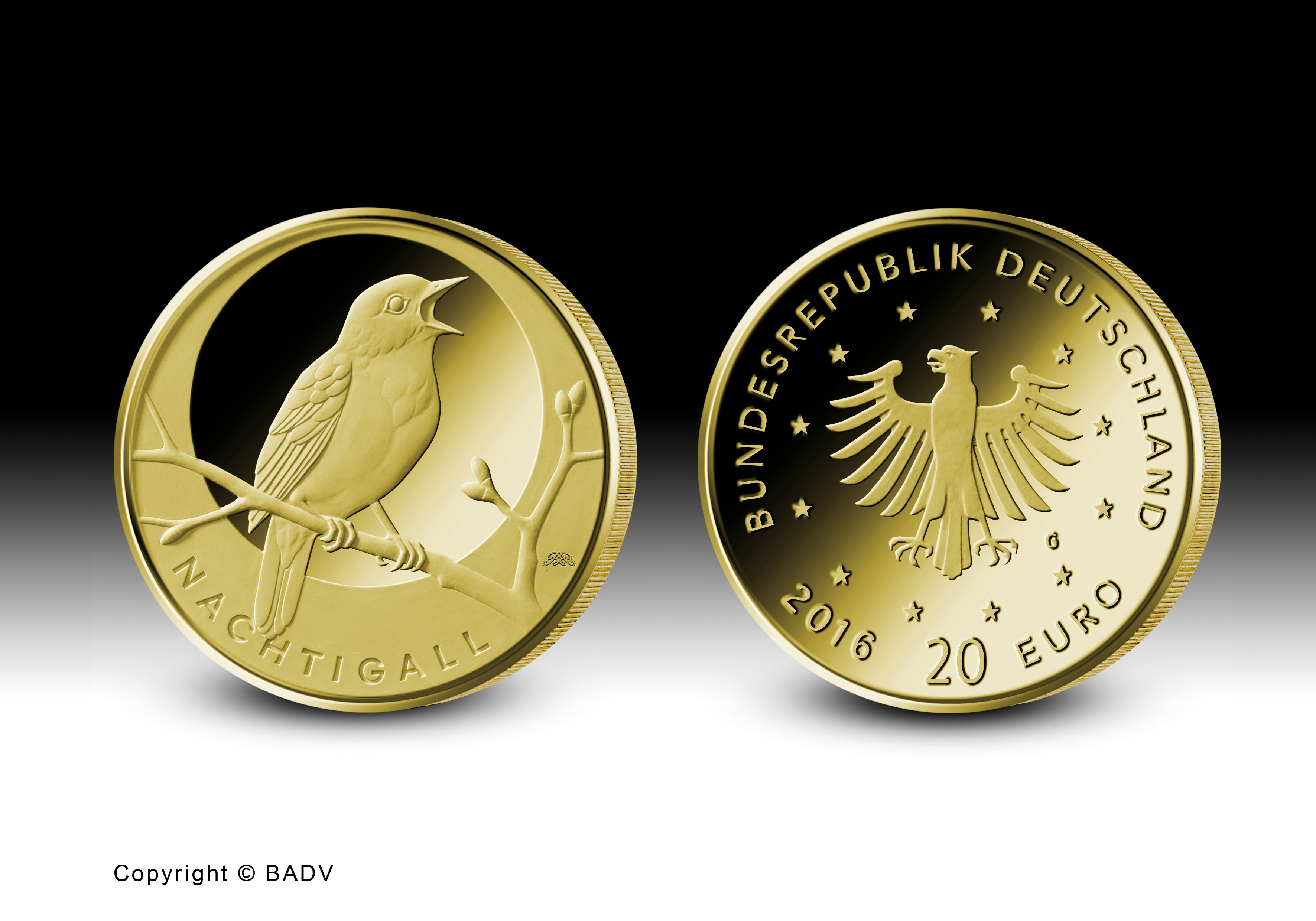 20-Euro-Goldmünze Set Heimische Vögel